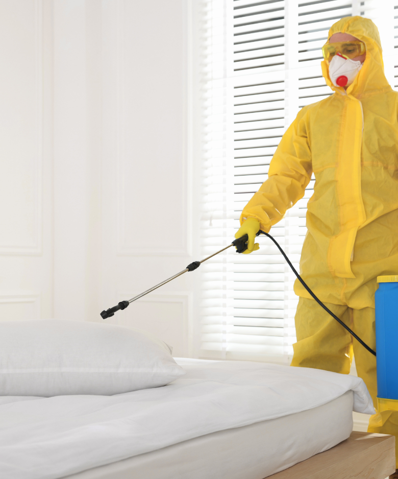 Professional Pest Control Team in Henley Beach South